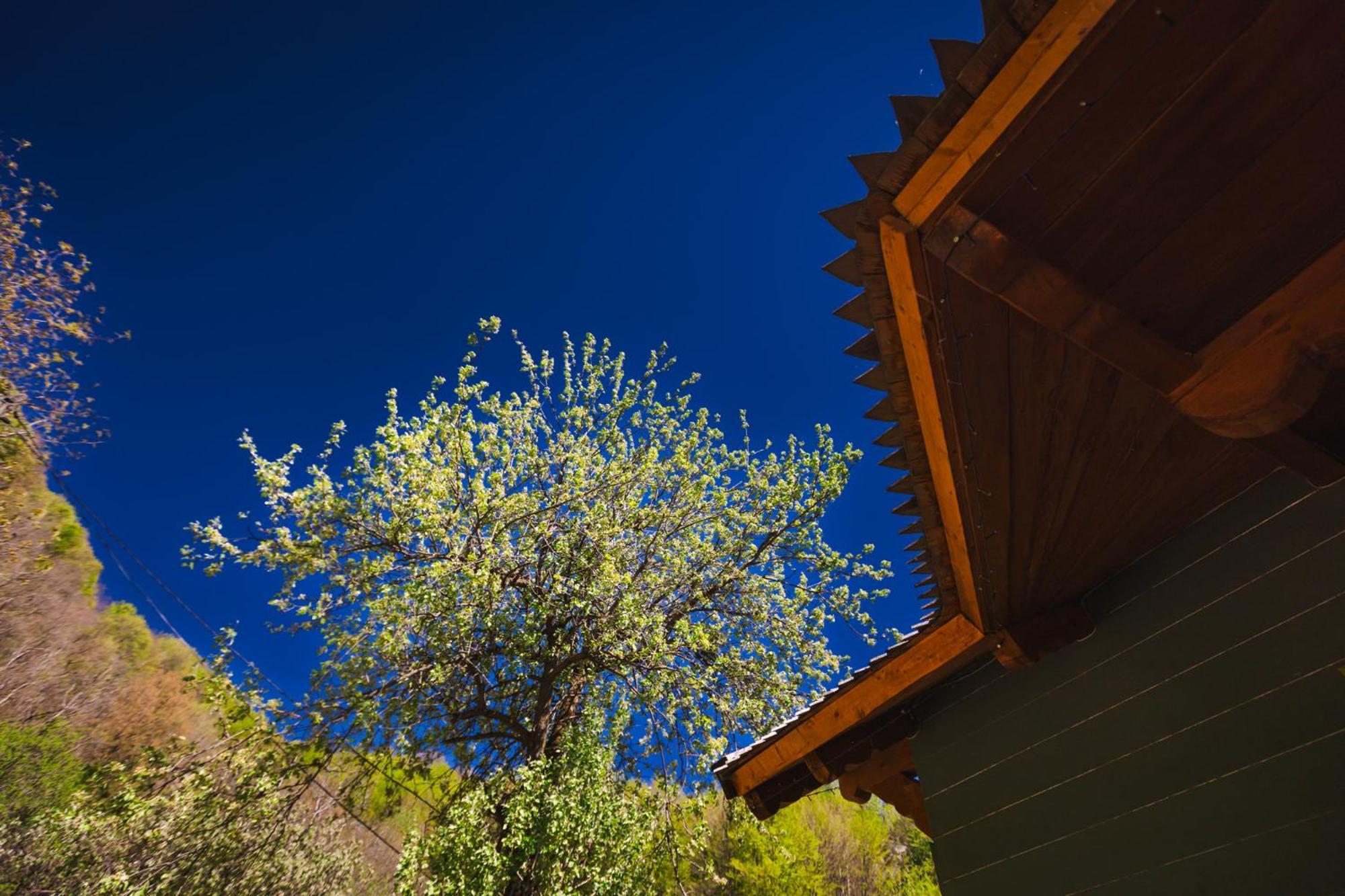 Alunis Retreat Hotel Exterior foto