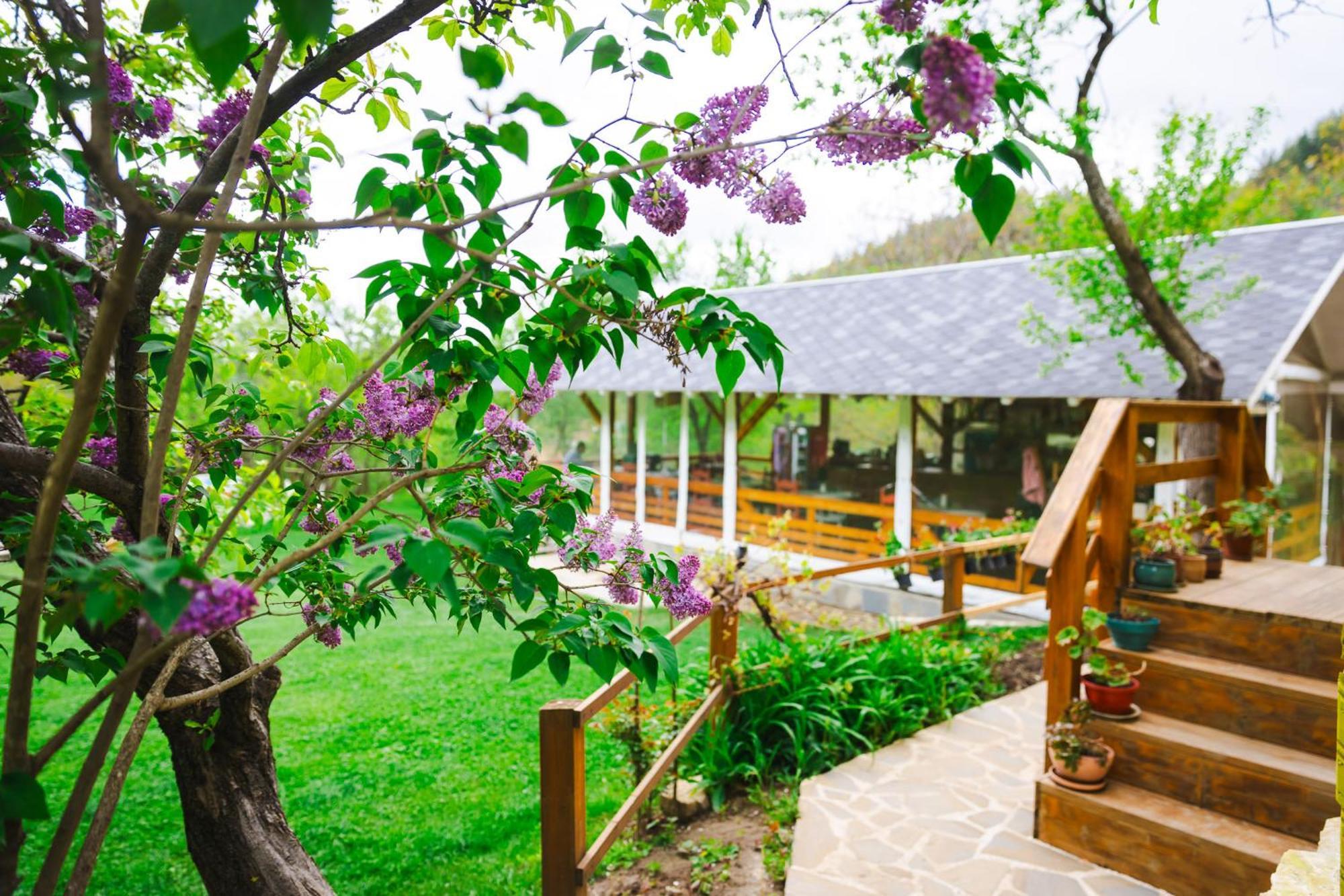 Alunis Retreat Hotel Exterior foto